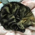 義実家に届け物して寄ったら、「○○（私）さんが浮気してる～！！」と数十枚の証拠写真を持って義弟嫁が乗り込んできたｗｗ義弟嫁「イ○ンでみちゃったんですけど！」