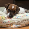 ベストショット📷