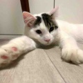 それぞれに、シュワッチ！