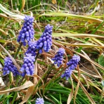 意識改革最前線の日々