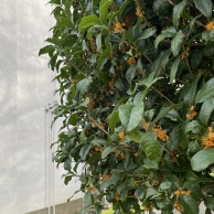 一年たって 一年かけて ／ 実家片づけ