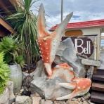 ながおか速報 -新潟県長岡市の地域情報サイト