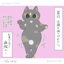 猫のダイエット成功しました【３年かけて】