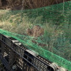 定年後・田舎作って・コメ野菜