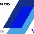 【最新】V NEOBANKからANA Pay経由でSuicaへチャージ！還元率2.0%の最強ルートを徹底解説