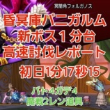 『昏冥庫パニガルム 新ボス１分台高速討伐レポート』の画像