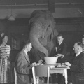 elephant in the room?