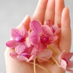 専業主婦まさきの一日