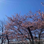 ランニングソナタ♪