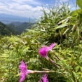 ⊂(´・ω・)⊃　山が涼しすぎる