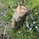 ４月８日(水)の釣果。