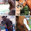 激勝G1オークス！今村聖奈騎手が女性騎手としてクラシック初騎乗初制覇！