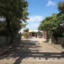 三島江　今年もれんげマーケットのイベントがあるよう　2026年4月26日