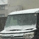 雪ですが…