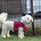 ミルクちゃんお久しぶり〜💕