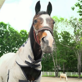☆うまなみ・競馬にゅーす速報