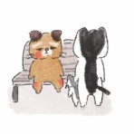 はちわれ絵日記