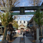 「うつ」の心に癒しを。