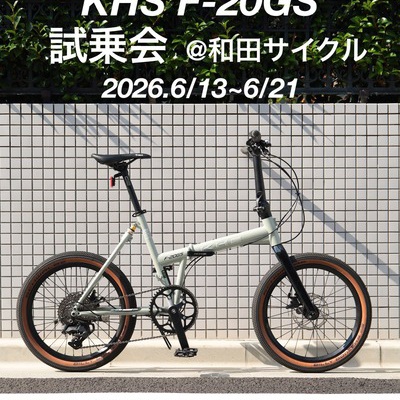 DAHON VISC. P20 Matt Black Limited : wadacycle news