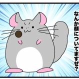 『わさびさん！ほっぺに何かついてますよ！』の画像