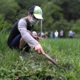 『【横浜】田んぼ活動再始動！』の画像