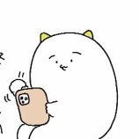 『良い登山用の保険見つけました』の画像