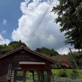 不思議な道に遭遇