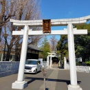 春の東京下町などを往く 墨田区向島 三囲神社