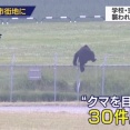【画像】クマ、有刺鉄線さえ越えてしまうｗｗｗｗｗｗｗｗｗｗｗｗｗｗｗｗｗｗｗｗｗｗ