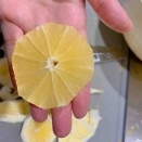 樹木と🌳バラの剪定誘引　レモンジャム