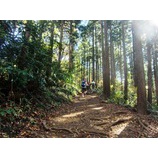 �ر����������ϥ����󥰡٤β���