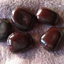 ズールーラブビーンって