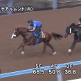 【競馬】アーモンドアイ2番子プロメサアルムンドがセレクト2億超の高額馬に馬なり先着