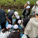 6月18日（木）PTAブログ　じゃがいも掘り