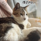 洗うべきか…洗わざるべきか…