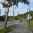 夕方 散歩