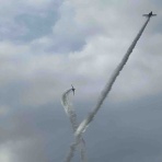 風の動物病院のブログ