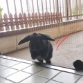 今日は。