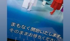 元乃木坂メンバーも白石麻衣卒コンを視聴・・・
