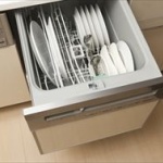 かーちゃんに食洗機買おうよって言ったらボロクソに拒否されたんだけど何でだ？ 	