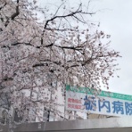 なんだりかんだり