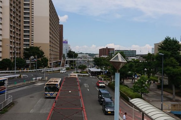 フランチャイズ地獄からの脱出 藤原義塾からの報告書 競売の危機でも不動産を守るには