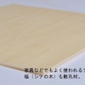 木と色に向き合う2日間―ICS出張家具塗装セミナー2026