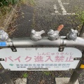 投稿：ホタルと天の川3態【追記】2026/07/17