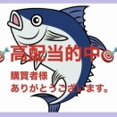 小倉競輪祭二日目２レース。