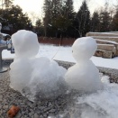 冬の水辺のアラカルト