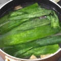 豚肩肉で茹で豚を作ってみた