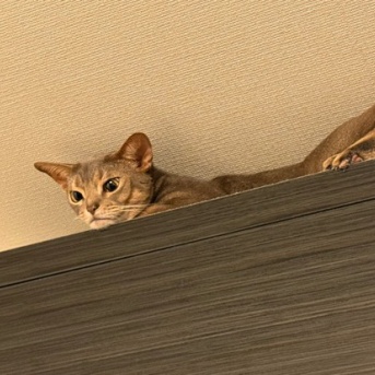 ややこしいことagain…( •̄ .̱ •̄ )
