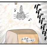 『「チンチラもパンにぶつかる」』の画像