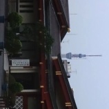 『こんなところからも・・・』の画像